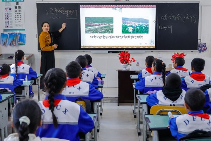 2024年9月27日，在四川省甘孜藏族自治州道孚縣城關(guān)第一完全小學(xué)，采取“藏加模式”教學(xué)的五年級(jí)一班的藏語文課上，準(zhǔn)木周老師指導(dǎo)藏族學(xué)生以家鄉(xiāng)草原風(fēng)物為主題寫作藏語文作文。新華社記者 沈伯韓 攝