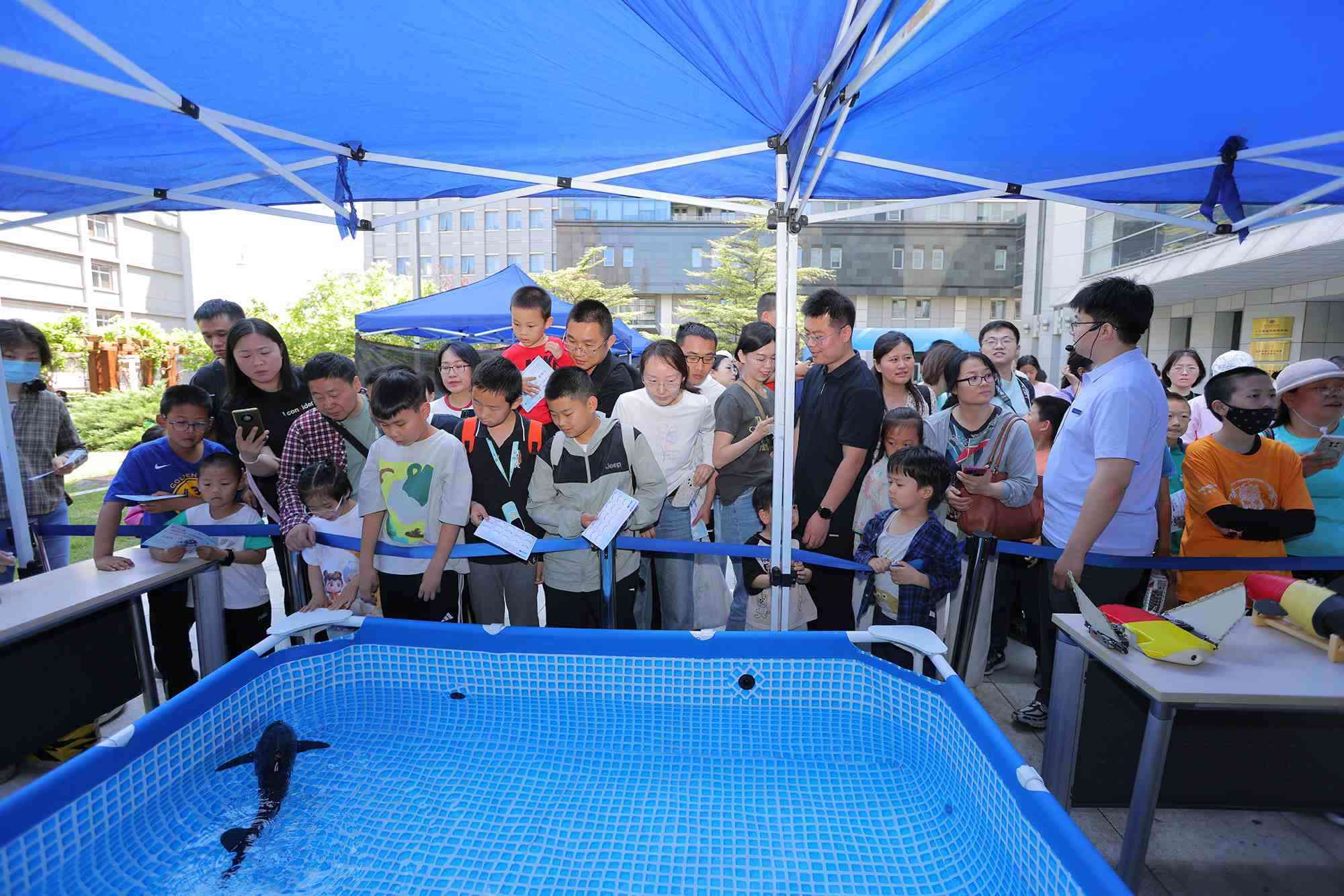 水下仿生機(jī)器魚在活動(dòng)現(xiàn)場(chǎng)大受歡迎。中國(guó)科學(xué)院自動(dòng)化研究所供圖